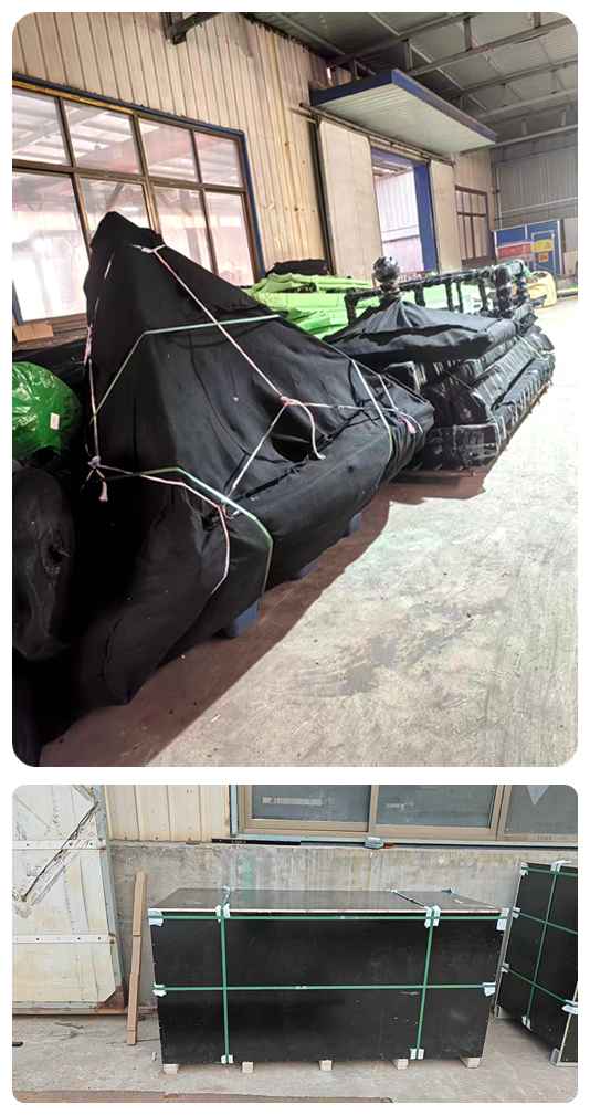 Serre Victoria sur Mesure : Véranda en Acier avec Toit Métallique Élégant